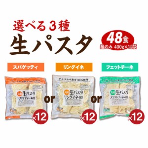 生パスタ フェットチーネ リングイネ スパゲティ 12袋 送料無料（北海道・沖縄・離島 1500円）業務用 グルメ 食品 大容量 まとめ買い ア