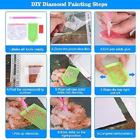 DIY 5D Diamond Painting Kits for Adults, Lion Full Drill Crystal Rhinestone Embroidery Cross Stitch, Diamond Art Painting by Number Kits for Home Wall