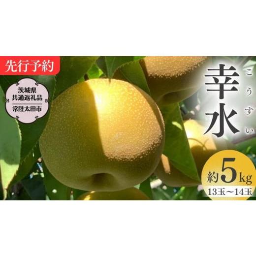 ふるさと納税 茨城県 桜川市  茨城県産 梨 幸水 約5kg 13玉〜14玉  桧山果樹園 農家直送 フルーツ 甘い 直送 …