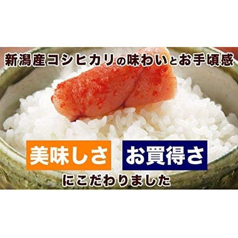 新潟県産 コシヒカリ 山並 白米 10kg (5kg×2 袋) 令和3年産