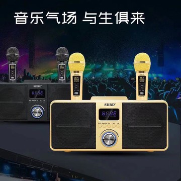 SD309一體機連接電視手機唱歌KTV無線麥克風藍牙音響【Snowbelle優選】