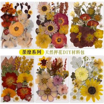 茶糜系列 大花包組合 真花壓花 永生花 森林系 少女寫真 壁畫 DIY水晶滴膠 乾燥花 植物標本