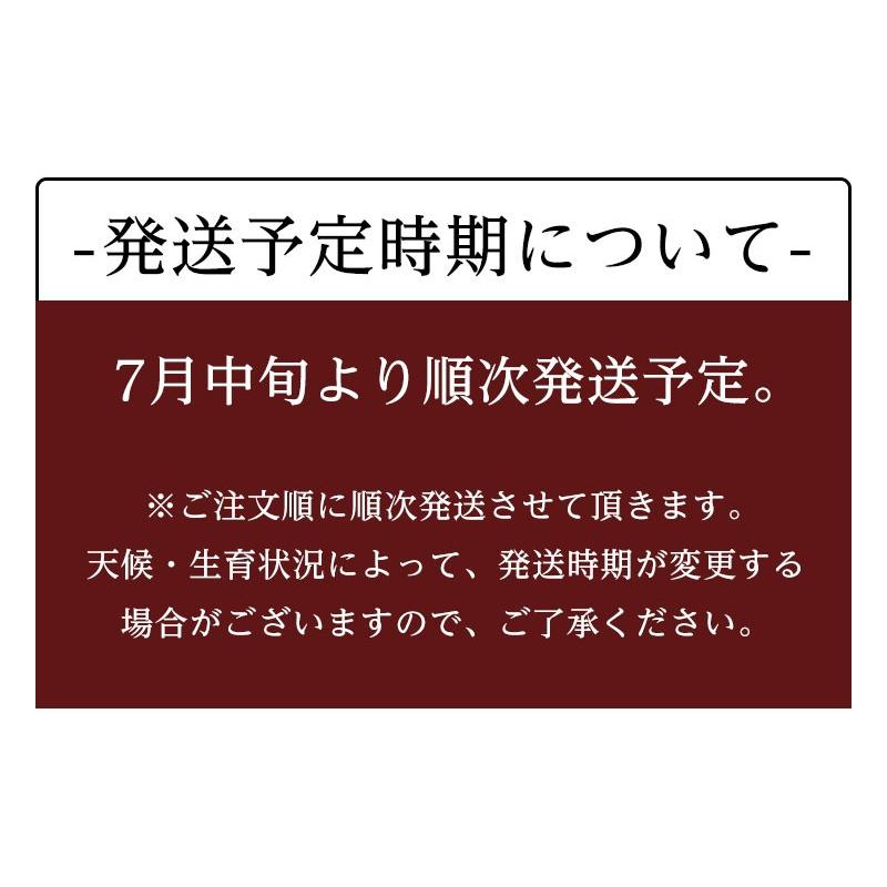 送料無料 産地厳選 アールスメロン 山梨 長野県産 シャインマスカット フルーツ ギフト 送料無料 果物 詰合せ 果物 ギフト 誕生日  贈答 プレゼント