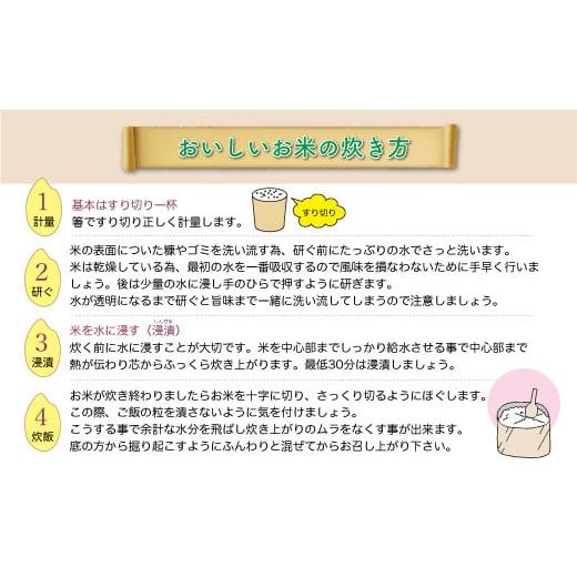 ふるさと納税 山形県 戸沢村 令和5年産　ひとめぼれ20kg（5kg×4袋）山形県戸沢村