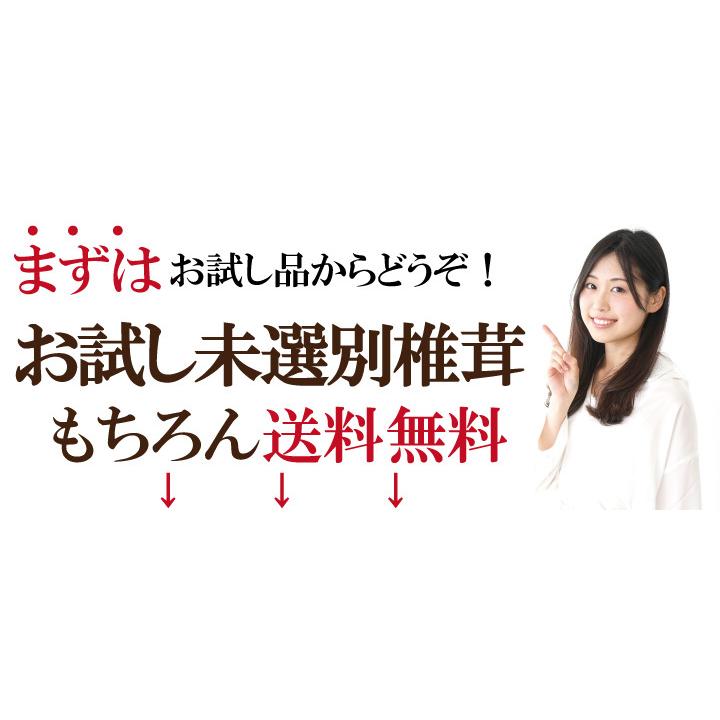 国内産未選別椎茸300ｇ　干し椎茸 国産 送料無料 業務用 無農薬 原木栽培