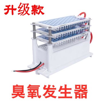 220V/110V臭氧發生器殺菌消毒除異味甲醛空氣凈化器家用養殖場10G