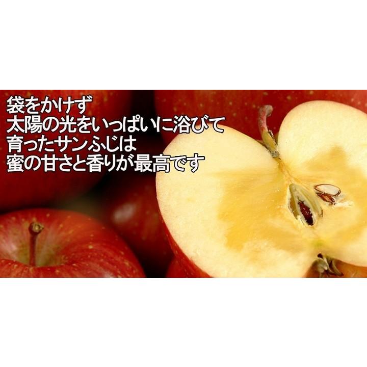 長野県産サンふじ特秀5ｋｇ（14〜18玉）　No.539