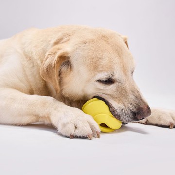 【貓狗用品】PetDreamHouse 幾何藏食彈跳玩具 百變趣彈系列