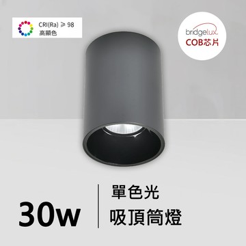 全光譜30W吸頂筒燈｜QC-30251B-普瑞芯片