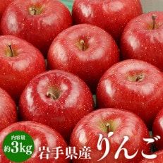 ふじむら農園の盛岡りんご『サンふじ』約3kg(ご家庭用)