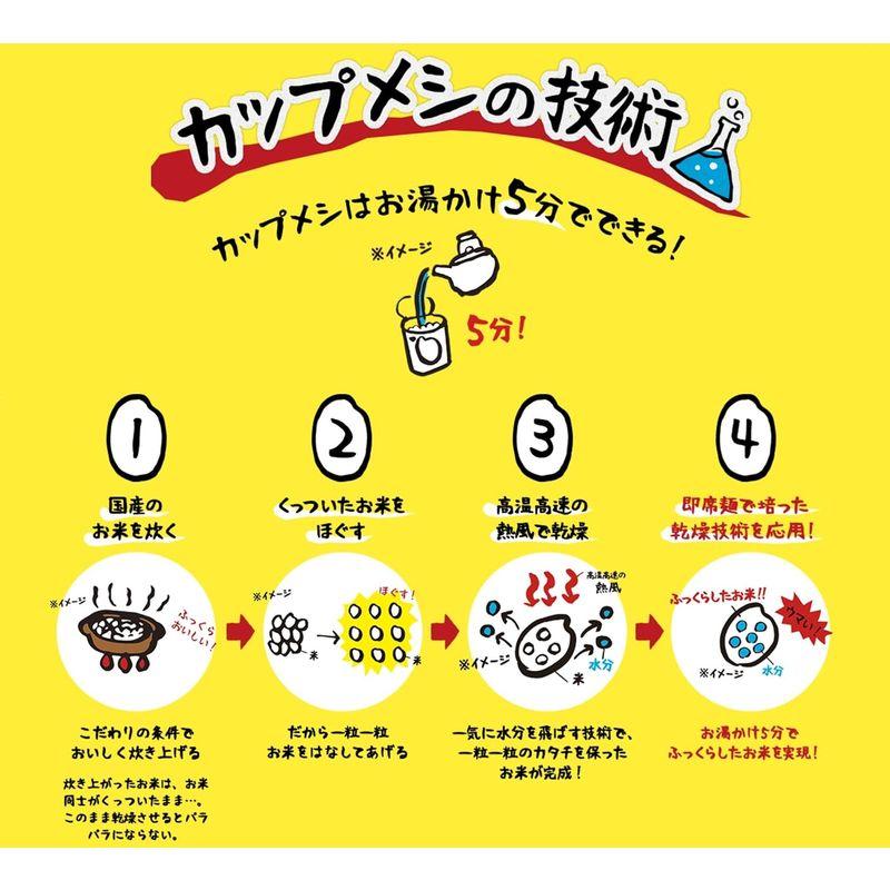 日清食品 カップヌードルぶっこみ飯 90g×6個