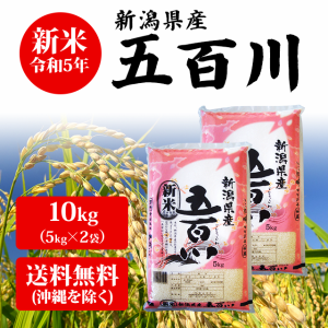   新潟県産 五百川 10kg （5kg×2袋） 米 10キロ 送料無料 お米 新米 10kg 安い 産地直