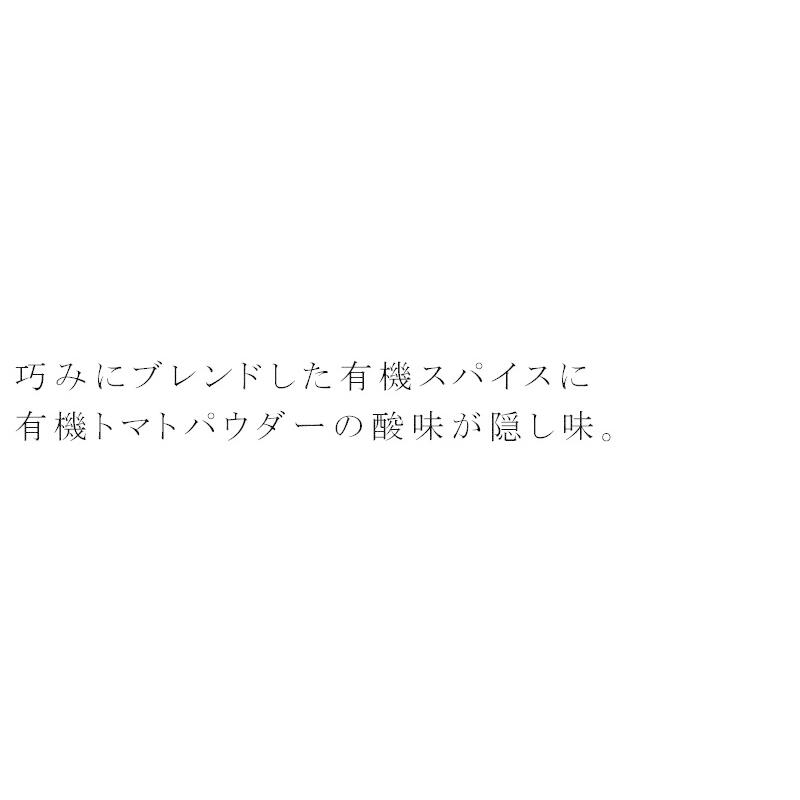 カレールウ 創健社 植物素材オーガニックカレー中辛 100g 正規品 ナチュラル 天然 無添加 不要な食品添加物 化学調味料不使用 自然食品 有機