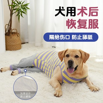 寵物狗狗衣服秋冬服裝柯基泰迪小大型犬狗狗護膝狗狗護肘衣關節套