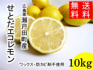 産地直送　瀬戸田町産レモン「せとだエコレモン」10ｋｇ M（約95玉） せとだレモン 広島県尾道市 生口島 瀬戸田レモン 瀬戸