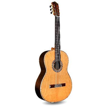 Cordoba コルドバ C12 CD Acoustic ナイロンストリング Modern クラシックギター アコースティックギター アコギ ギター (並行輸入)並行輸入