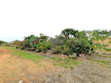 溪海國小農地　地勢平坦、方正、近客運園區、出租中｜桃園市大園區溪州段