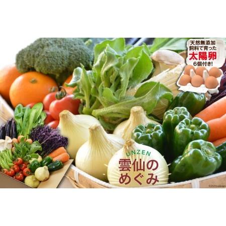 ふるさと納税 ”雲仙のめぐみ”旬の野菜セット（Ｓ） 8〜10品目セット 長崎県雲仙市