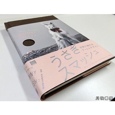 うさぎスマッシュ 世界に触れるアートとデザイン　（柏木博,  佐藤卓,  リピット水田堯 他）