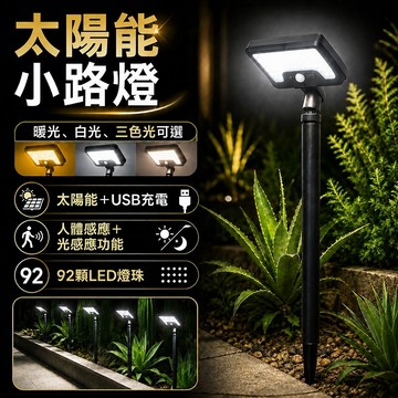 現貨✨太陽能小路燈 太陽能+USB雙充 人體感應燈 太陽能庭院地插燈 戶外照明燈 花園照明 太陽能感應燈 太陽能草坪燈