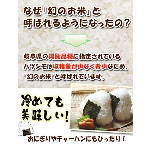 岐阜県産 ハツシモ 玄米 分づき精米無料 令和4年産 (玄米のまま, 10kg)