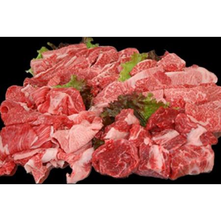 ふるさと納税 定期便 6回 牛肉 雲仙育ち おがわ牛 バラエティーセットB 総計9kg(1.5kg×6回) 黒毛和牛 冷凍   焼肉おがわ   長崎県 雲仙市 長崎県雲仙市