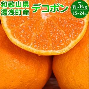 ふるさと納税 ZA94063n_デコポン 約5kg (約15〜24玉) 和歌山県湯浅町