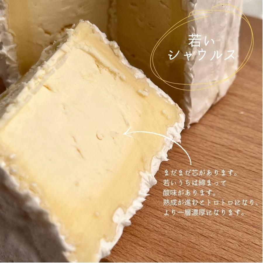 シャウルス 250g ナチュラルチーズ 白カビ チーズ シャンパーニュ シャンパン 発泡 ワインに合う