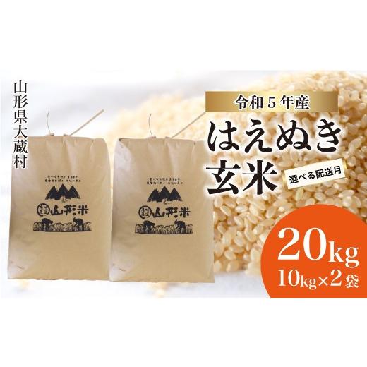 ふるさと納税 山形県 大蔵村 令和5年産 大蔵村 はえぬき 20kg （10kg×2袋）