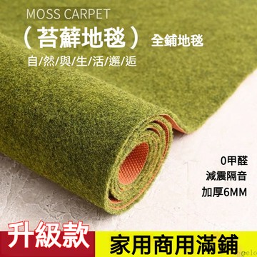 💥可客製化💖仿苔蘚地毯 酒店門墊 家用進門腳墊 鋪裝地毯 特密柔絲仿苔蘚地毯 陽台院子裝飾鋪裝地毯 商用地墊 大門口地墊