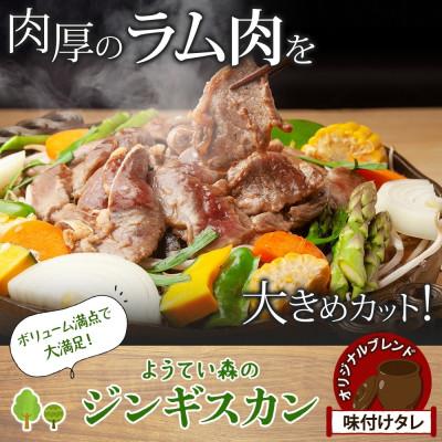 ふるさと納税 倶知安町 濃いタレが人気!ようてい森の ジンギスカン 300g×3パック 味付き ラム肉 北海道 倶知安町