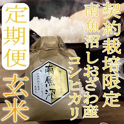 ふるさと納税 南魚沼市 生産者限定 南魚沼しおざわ産コシヒカリ全12回