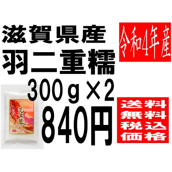 米　令和4年度産　滋賀県産　羽二重もち米 600ｇ