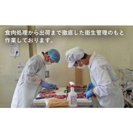 ふるさと納税 福岡県 糸島市 イノシシ 3種 焼肉セット（ 部位おまかせ ） 450g 2〜3人前 糸島市 ／ tracks [AUF005] ジビエ 猪