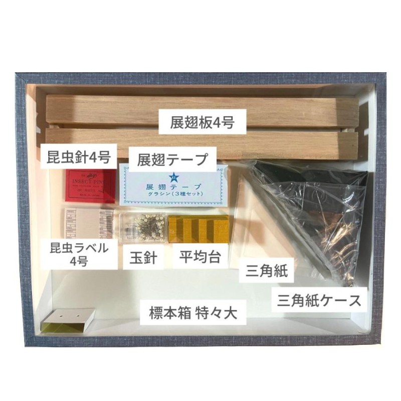 志賀昆虫普及社「本格昆虫標本9点セット 蝶々専用」チョウ トンボ 自由