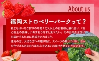 訳あり いちご 2024年2月下旬より発送 あまおう サイズ色々 6パック 約1.71kg 配送不可 離島