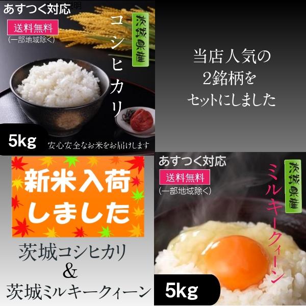 新米 お米  コシヒカリ5k ミルキークィーン5k 10kg 白米 茨城県産 5年産 送料無料 一部地域除く