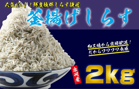 釜揚げしらす 合計 2kg（500g×4）