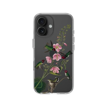 iPhone 16 Clear Case（相機按鈕） 透明 - The British Library - 美洲鳥譜 ‧ 哥倫比亞蜂鳥
