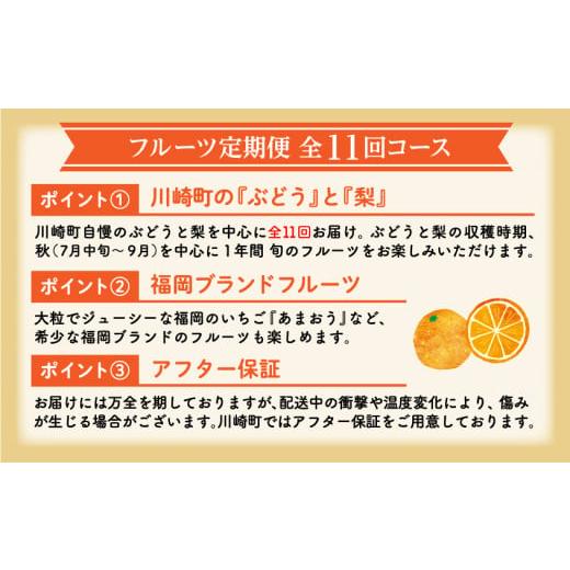 ふるさと納税 福岡県 川崎町 季節の フルーツ を 年１１回 お届け します！