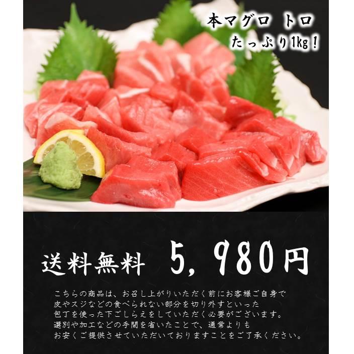 マグロ まぐろ 訳あり 本マグロ訳ありトロ 1kg