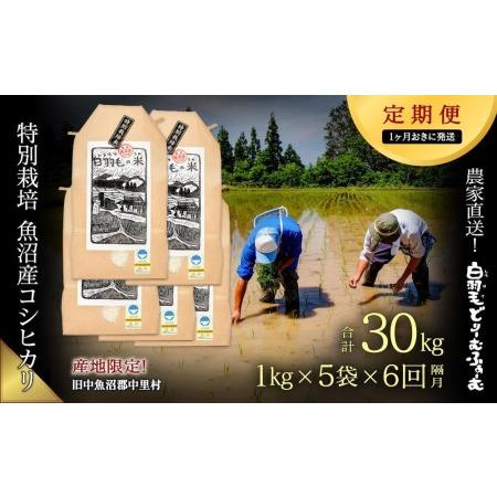 ふるさと納税 ≪令和5年産≫農家直送！魚沼産コシヒカリ特別栽培「白羽毛の米」精米(1kg×5袋.. 新潟県十日町市