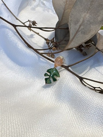 貼耳龜背芋