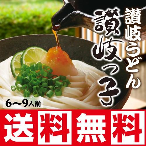 本物の味 讃岐うどん 讃岐っ子 お試しセット 乾麺3袋入り 6〜9人前 ポイント消化 送料無料 ネコポス