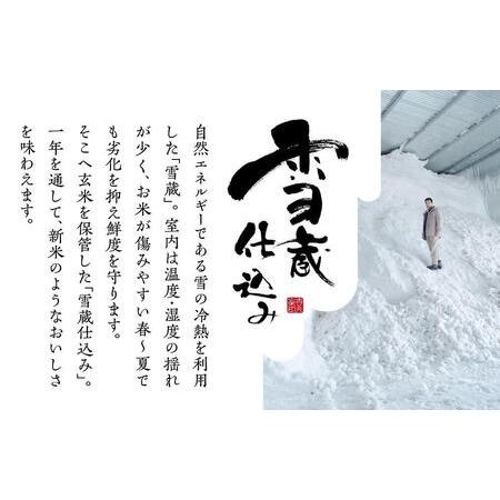 ふるさと納税 契約栽培 雪蔵貯蔵米 南魚沼産こしひかり10kg（5kg×2） 新潟県南魚沼市