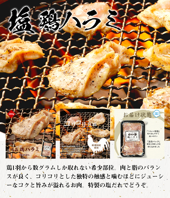 やまなか家特製焼肉冷麺セット(K1-019)