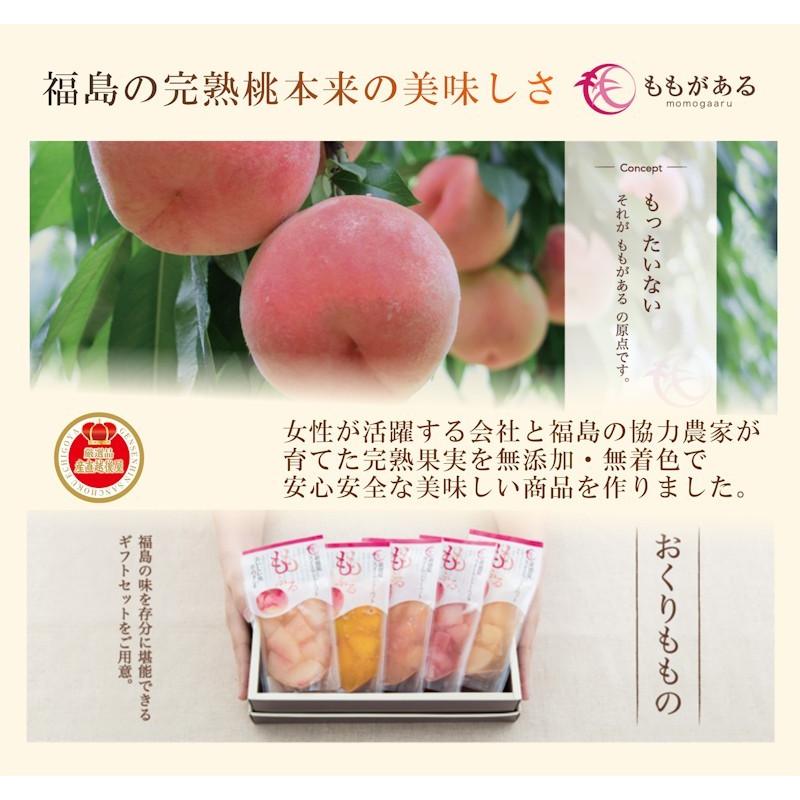 ギフト  フルーツ 桃  完熟冷凍もも 福島県 生産農家直結 ももがある 樹成り完熟桃 冷凍加工品 ももふるセット 120g 5個 送料無料
