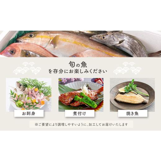 ふるさと納税 鹿児島県 肝付町 C09001 地魚詰め合わせセット(約6〜8人分) 