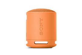 SRS-XB100