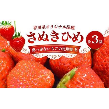 ふるさと納税 東かがわ市真っ赤な「いちご」の定期便（B） 香川県東かがわ市